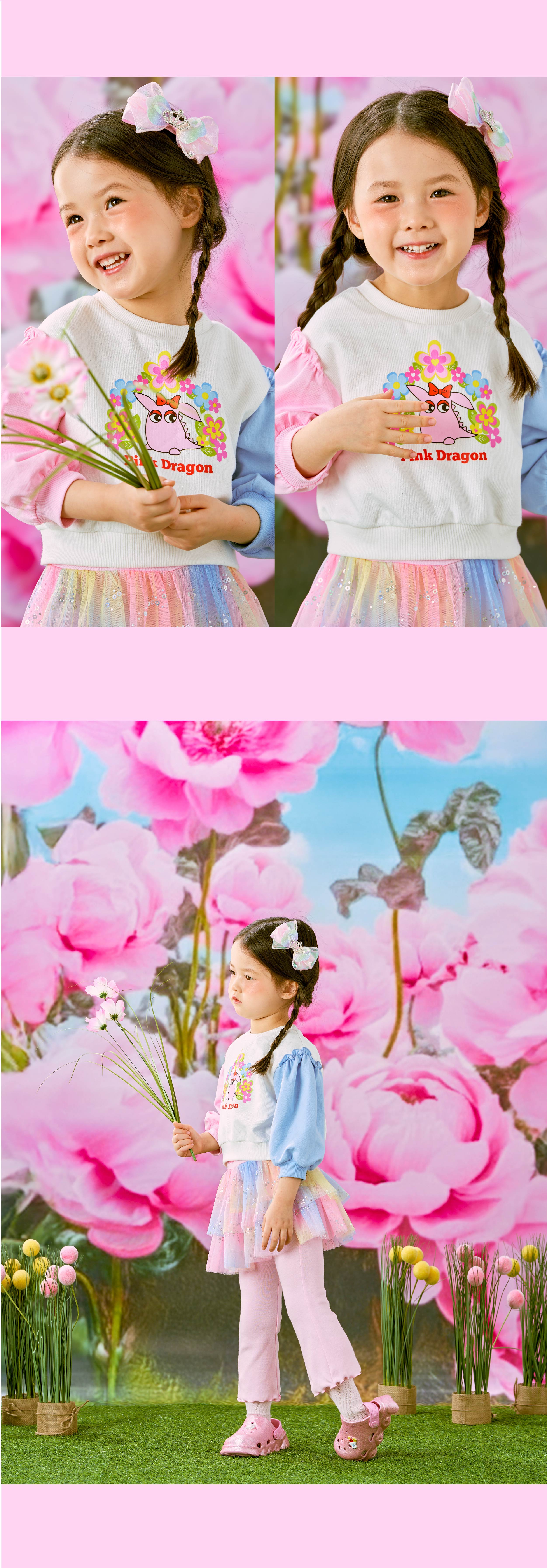 P61DAP060 오로라 샤 치랭스-04.jpg